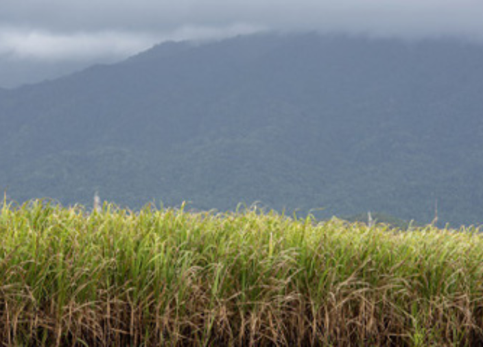 Imagem de um campo e céu azul