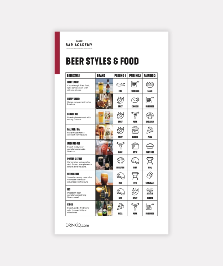 Beer and Food Pairing Guide Preview