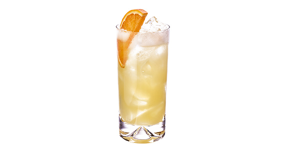 FESTIVE FRUIT FIZZ