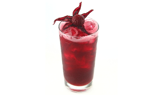 Hibiscus Fresca