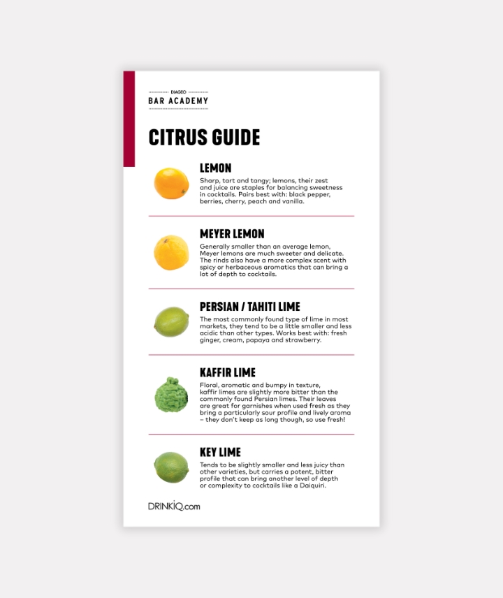 Citrus Flavour Guide Preview