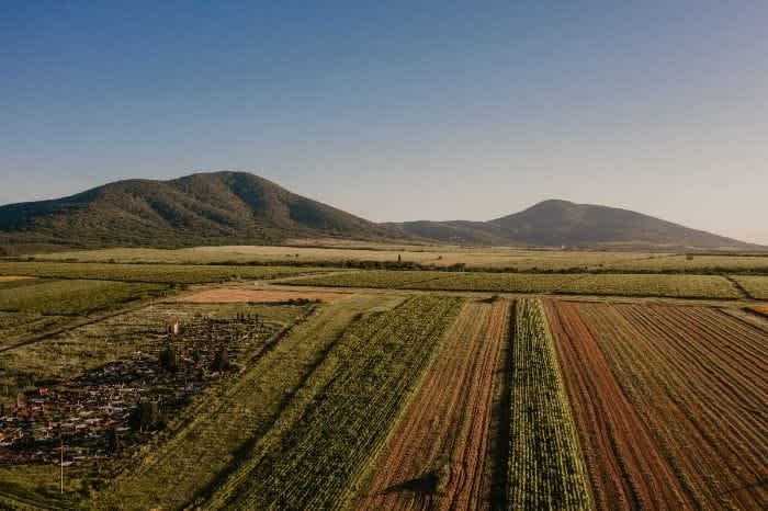 Gudurički vrh (641mnv) - najviši vrh Vojvodine