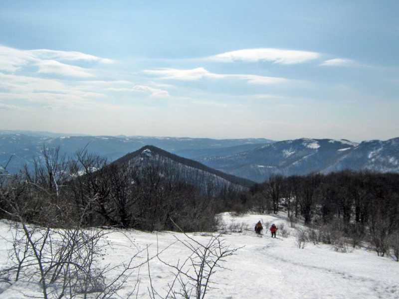 Sumorovac - Ždrelo