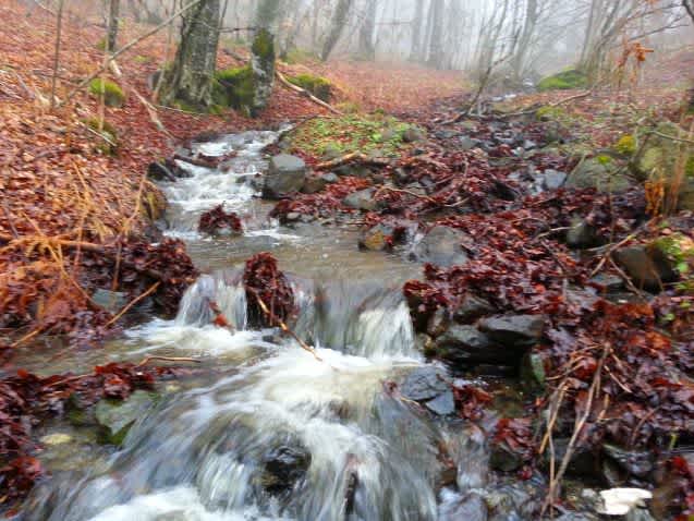 Goč - Planina sa dva lica