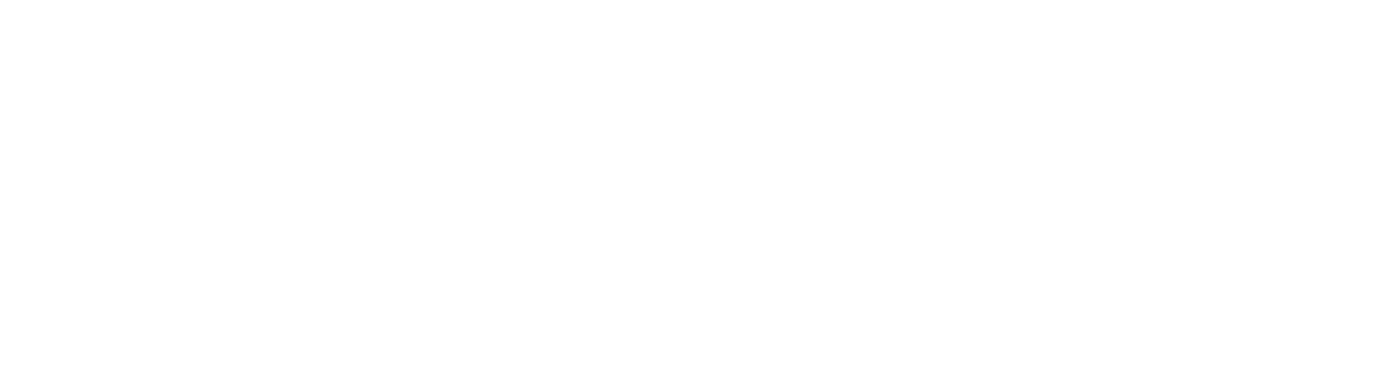 Chicago Triathlon Logo