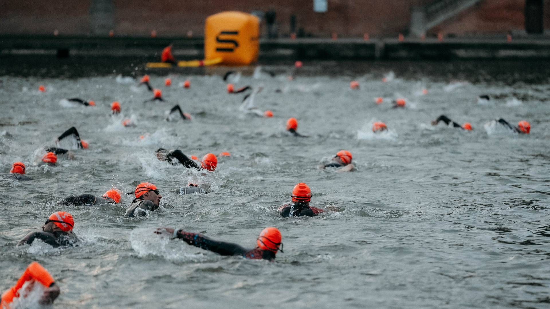 Triathlon distance Olympique (M)