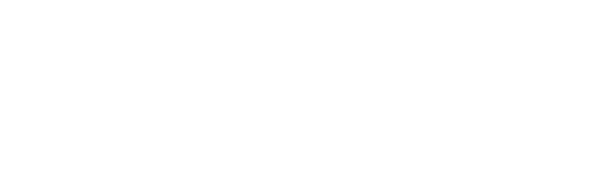 New York City Triathlon Logo