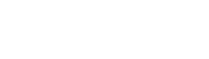 New York City Triathlon Logo