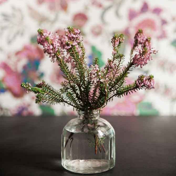 flowers-vase
