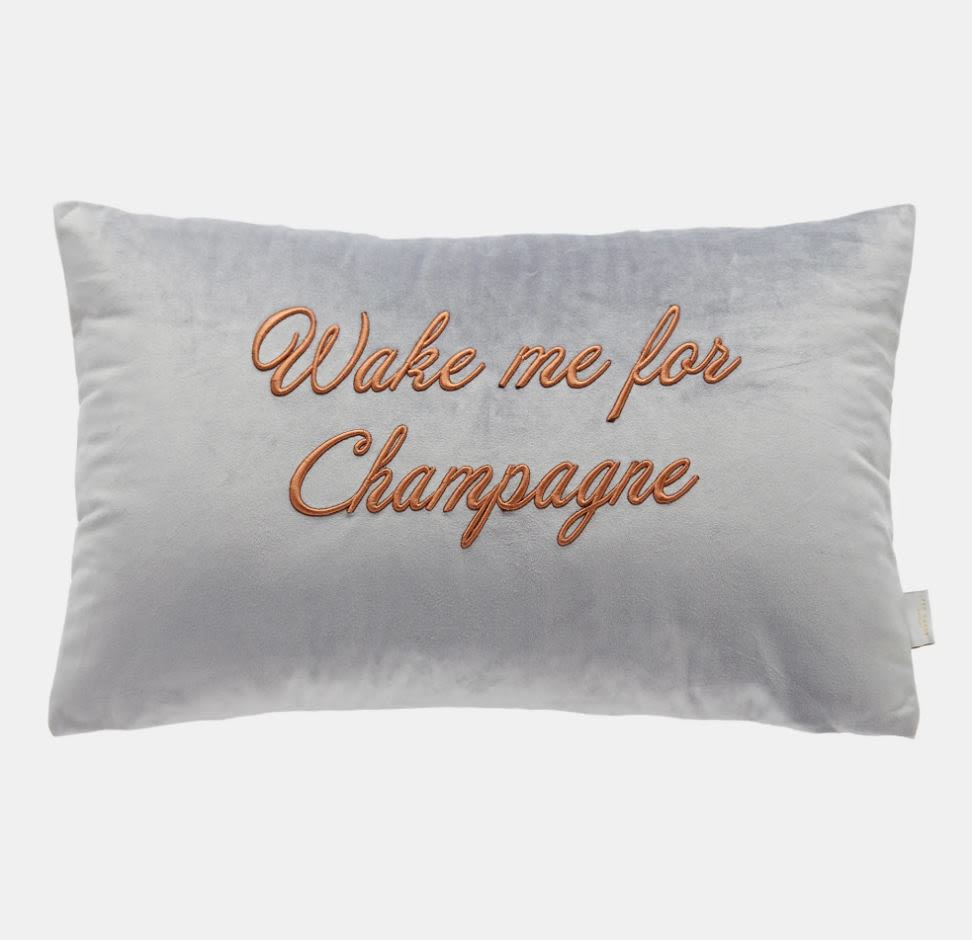 Ffzzie Wake me up for champagne scatter cushion