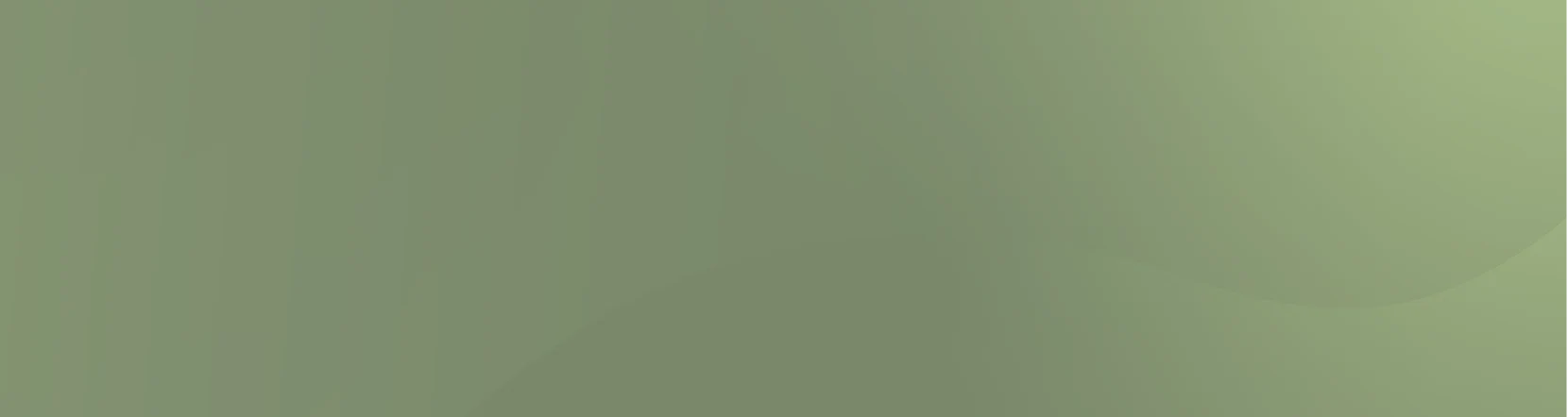 Banner - 23 Olive Wave 1