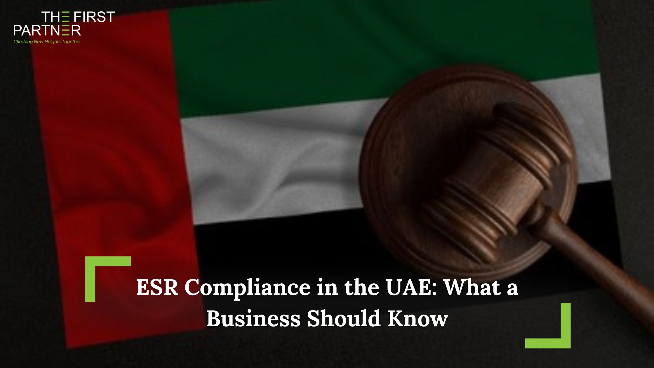 ESR Compliance in UAE: Key Insights for Businesses