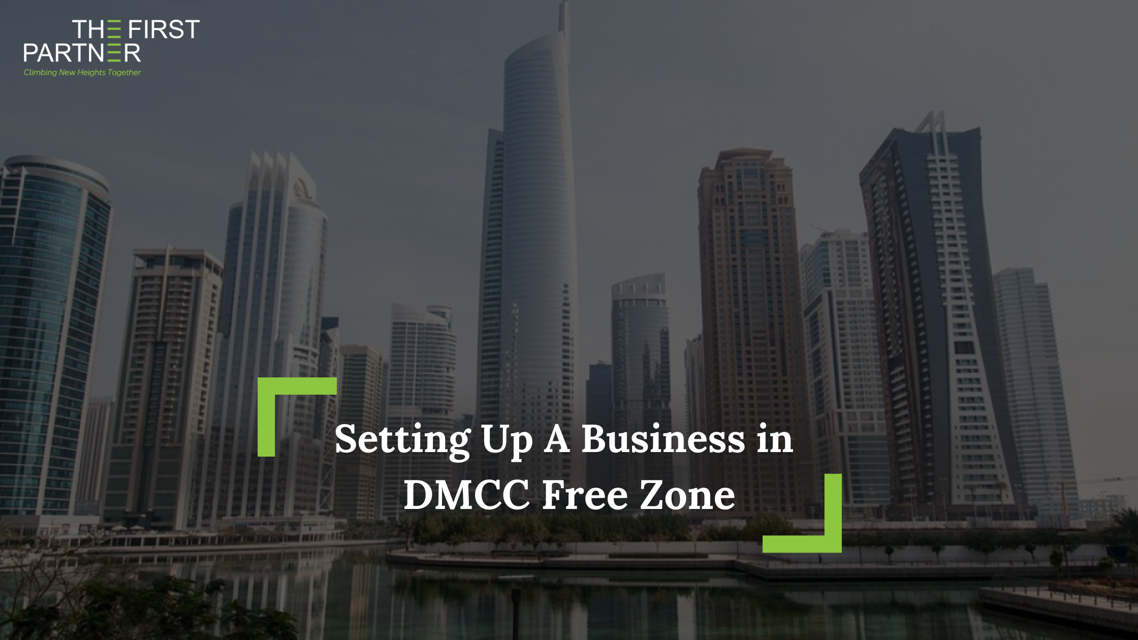 Setting Up A Business in DMCC Free Zone