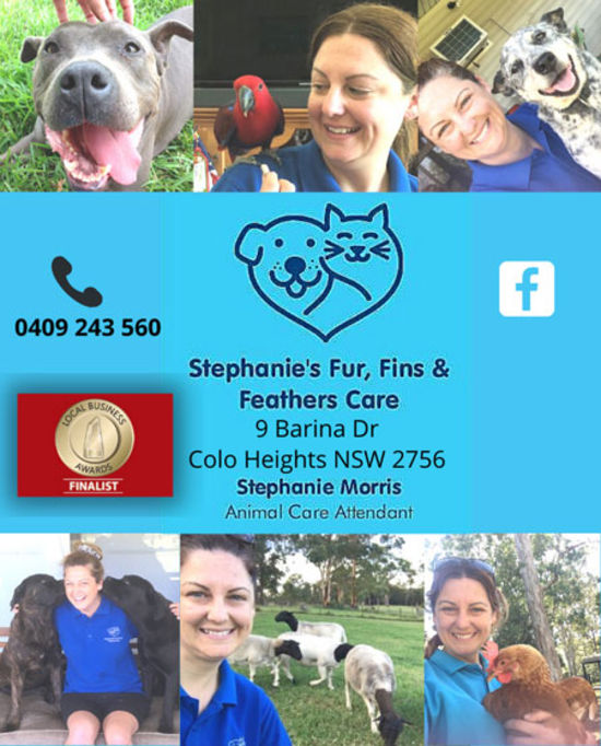 Stephanie's Fur, Fins & Feathers Care – Target