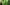 free-tree-bunnings-banner-green-trees-2880x700