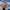 Sari-Elle-and-Monty-