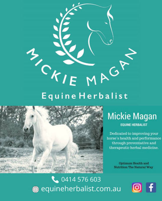 Mickie Magan – Target