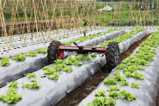 125-Million-Investment-in-Farms-of-the-Future