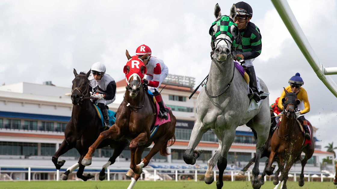 Gulfstream Today Gulfstream Park