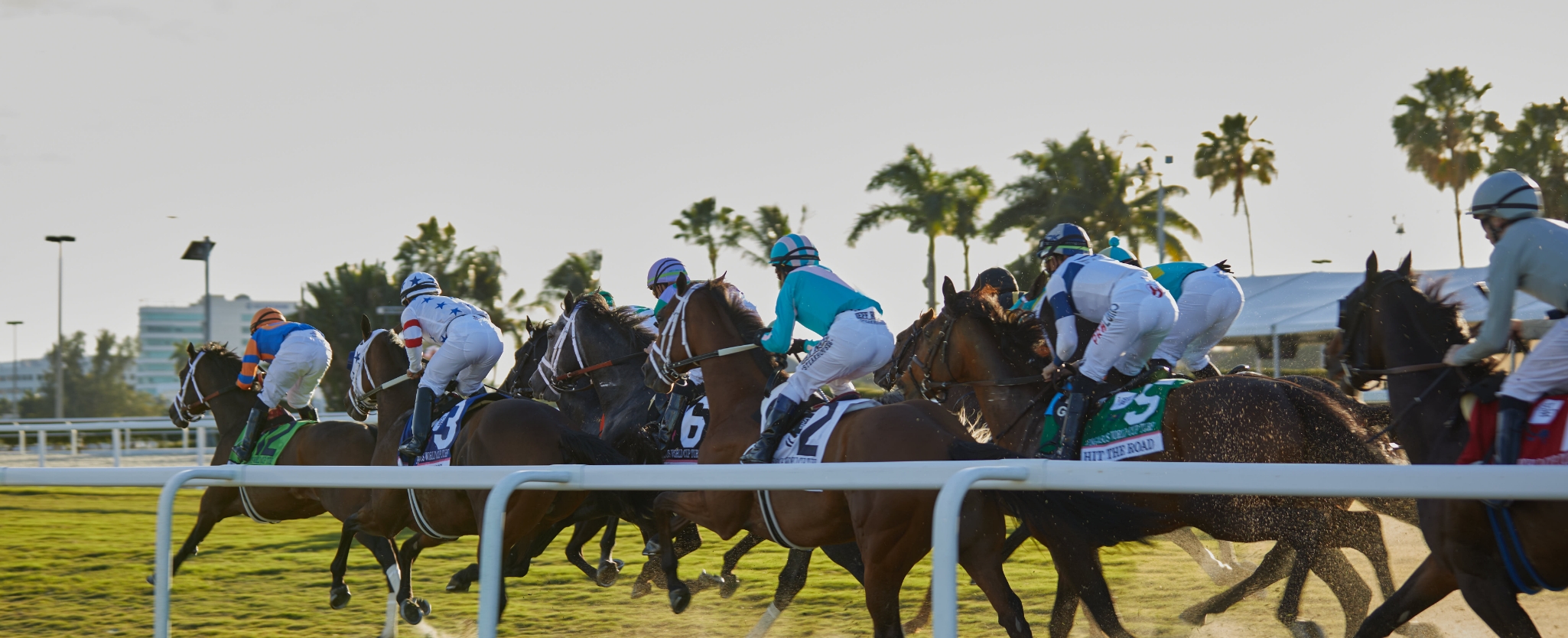 Discover Gulfstream Park | About Us & Activities | Gulfstream Park