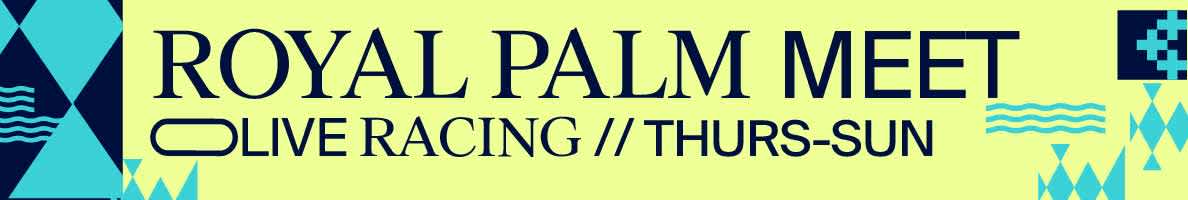 Royal Palm Meet 2024 Thursday-Sunday Thoroughbred Racing Gulfstream Park banner
