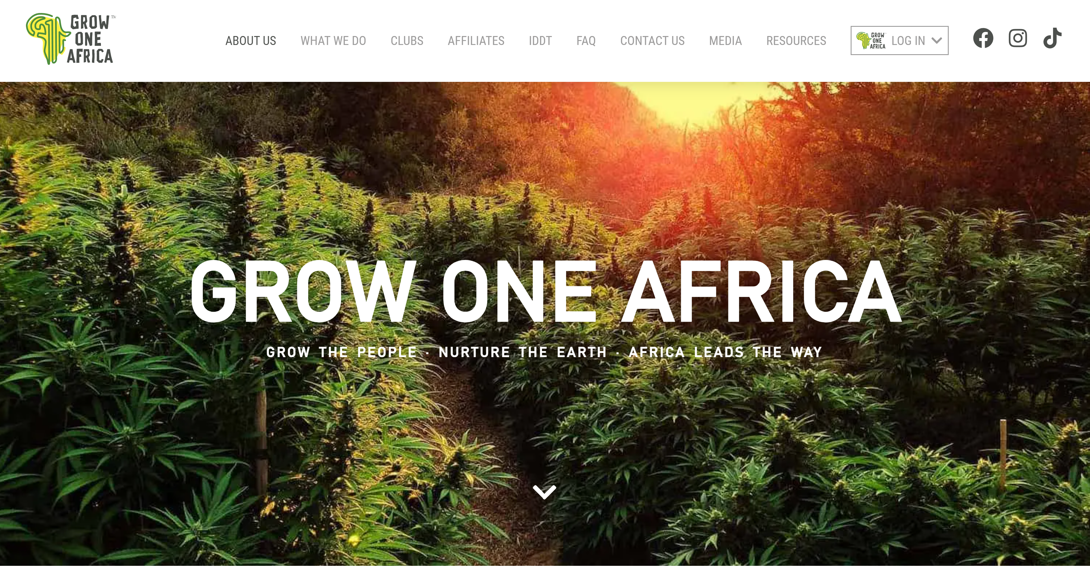 Grow One Africa