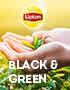 Lipton Black and Green Thumbnail 70x90
