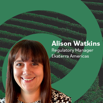 Alison Watkins Profile