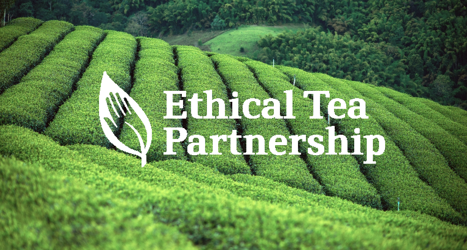 The Ethical Tea Partnership