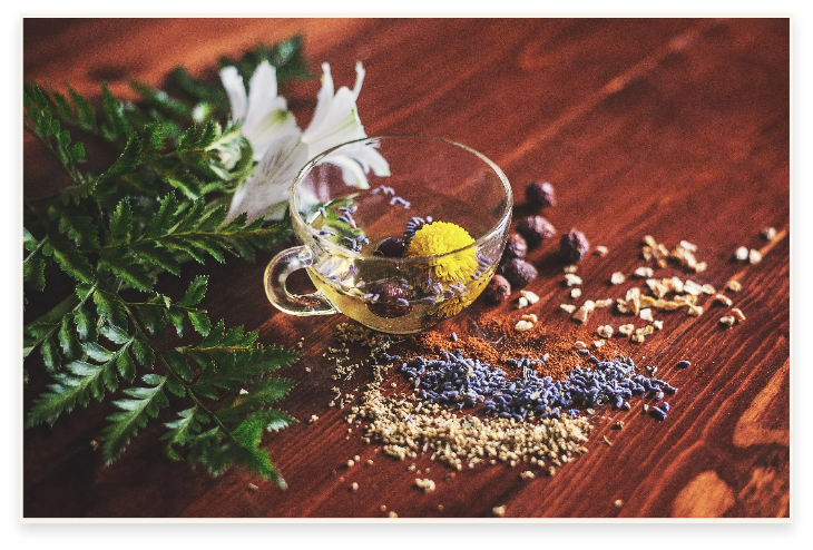 The benefits of herbal tea