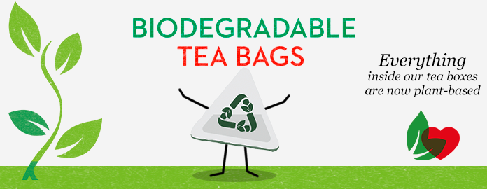 Article Hero - PG Tips