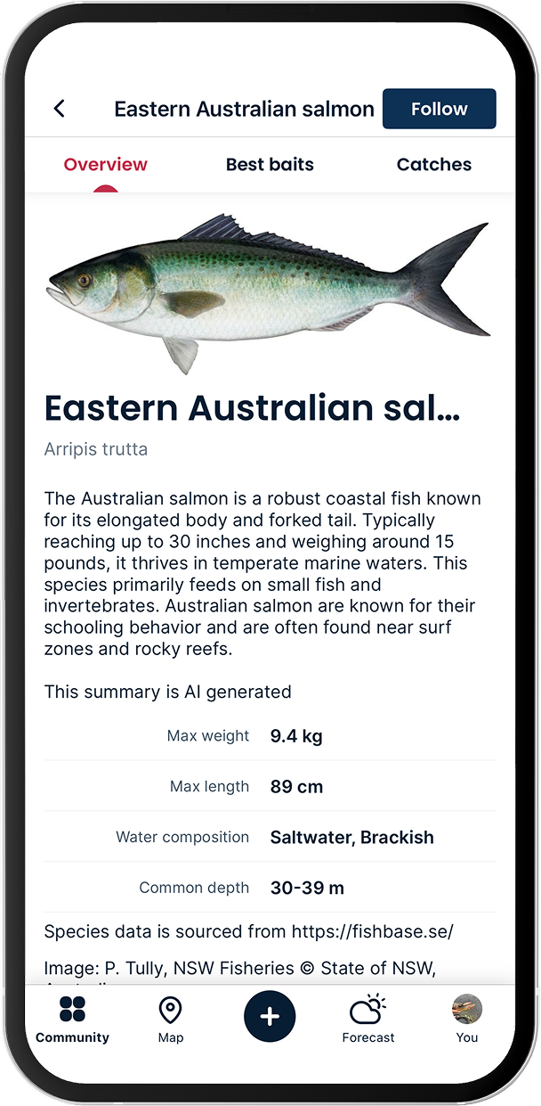 Eastern Australian salmon
