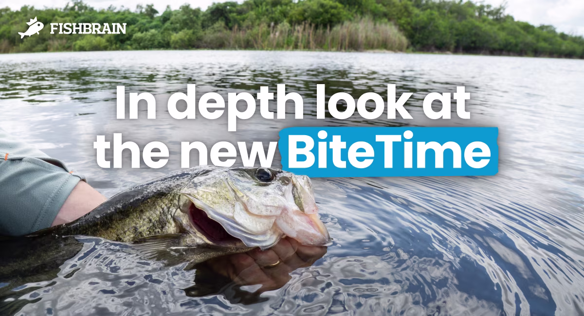 BiteTime got a big upgrade