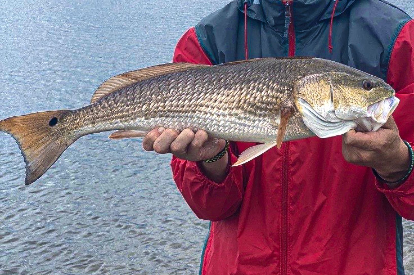 How to Catch Slot Redfish, for Beginners
