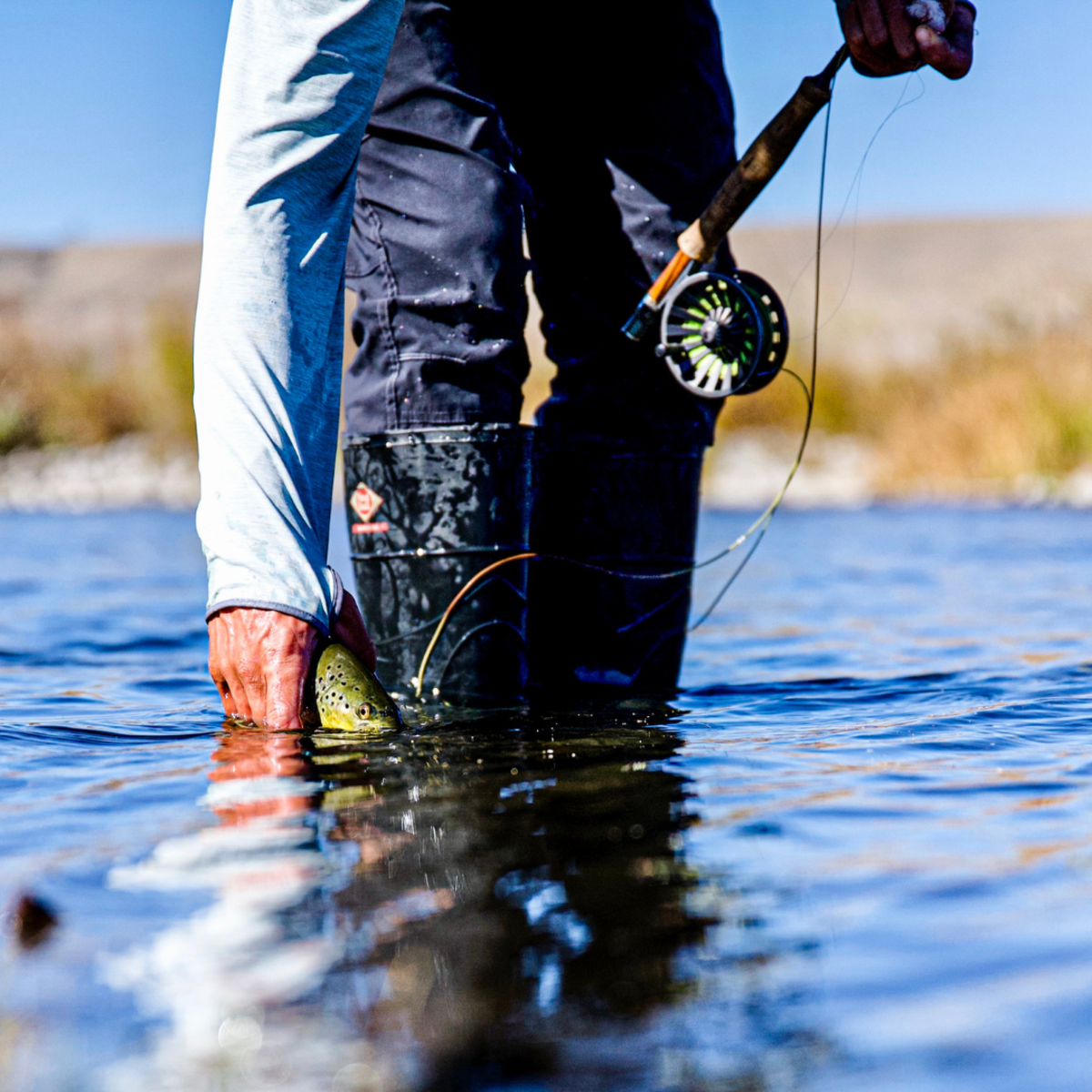 How to handle fish safely