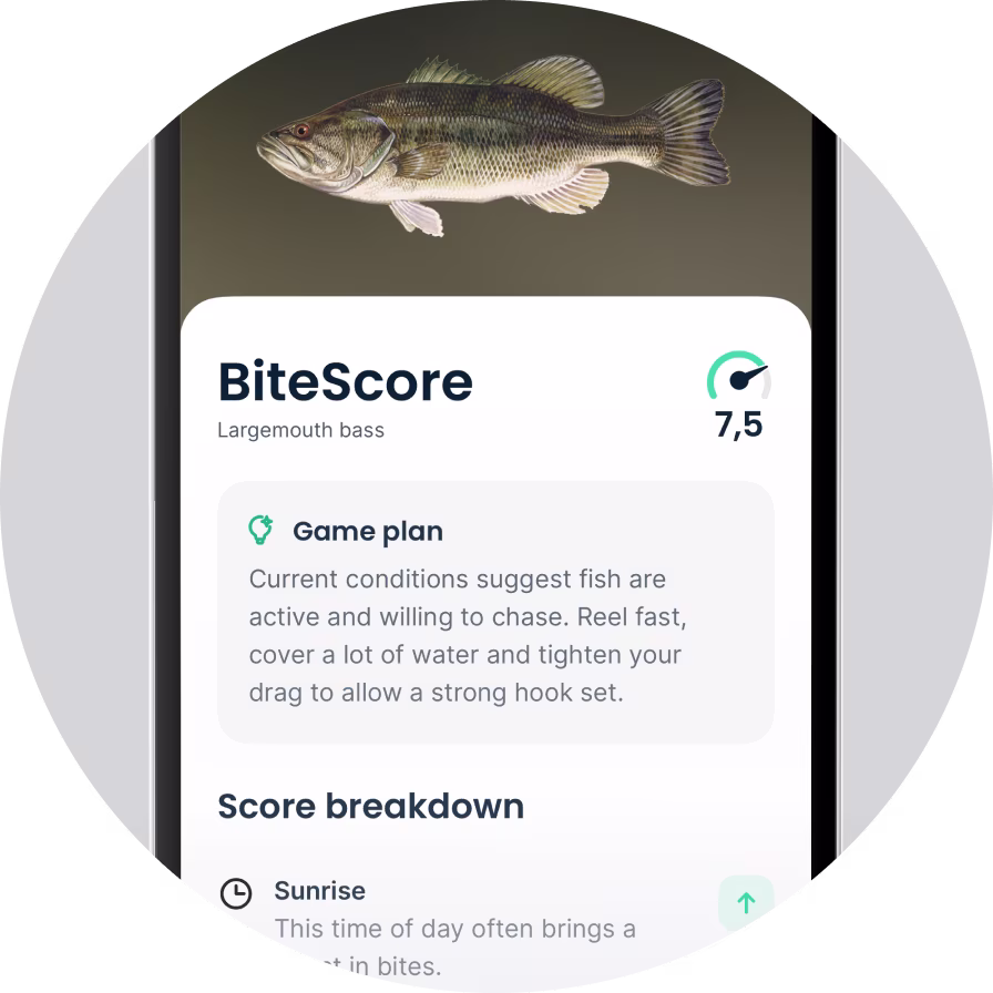 Fishbrain BiteGuide