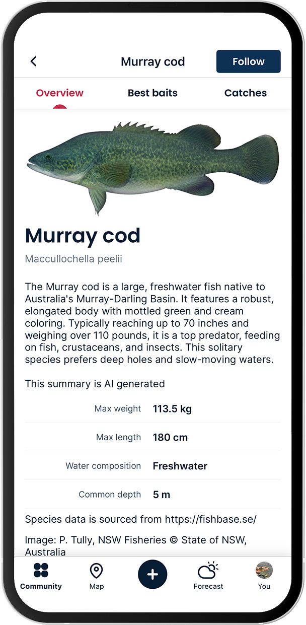 Murray cod