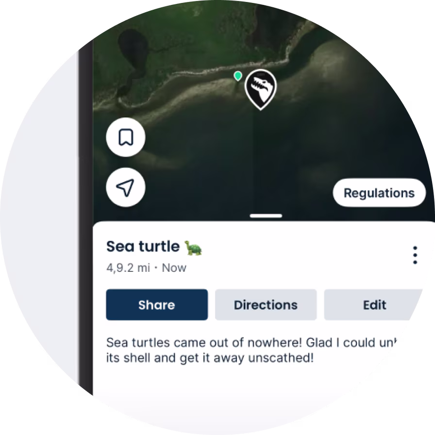 Jack fishing Florida