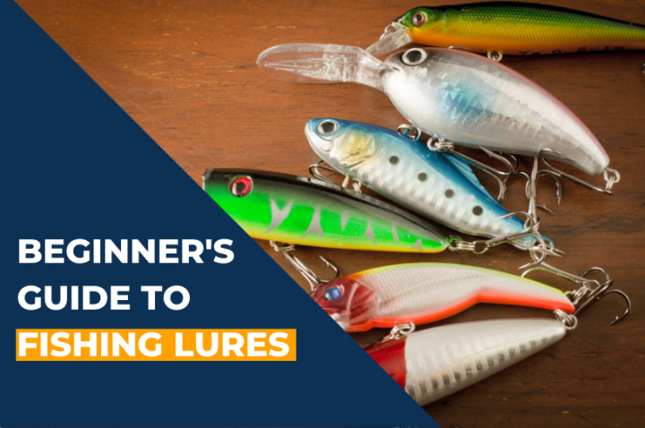 Beginner's guide to fishing lures