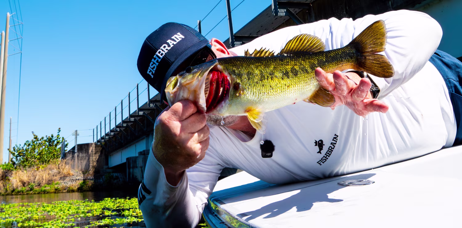 How to convince a following bass to finally take your lure instead of watching it.