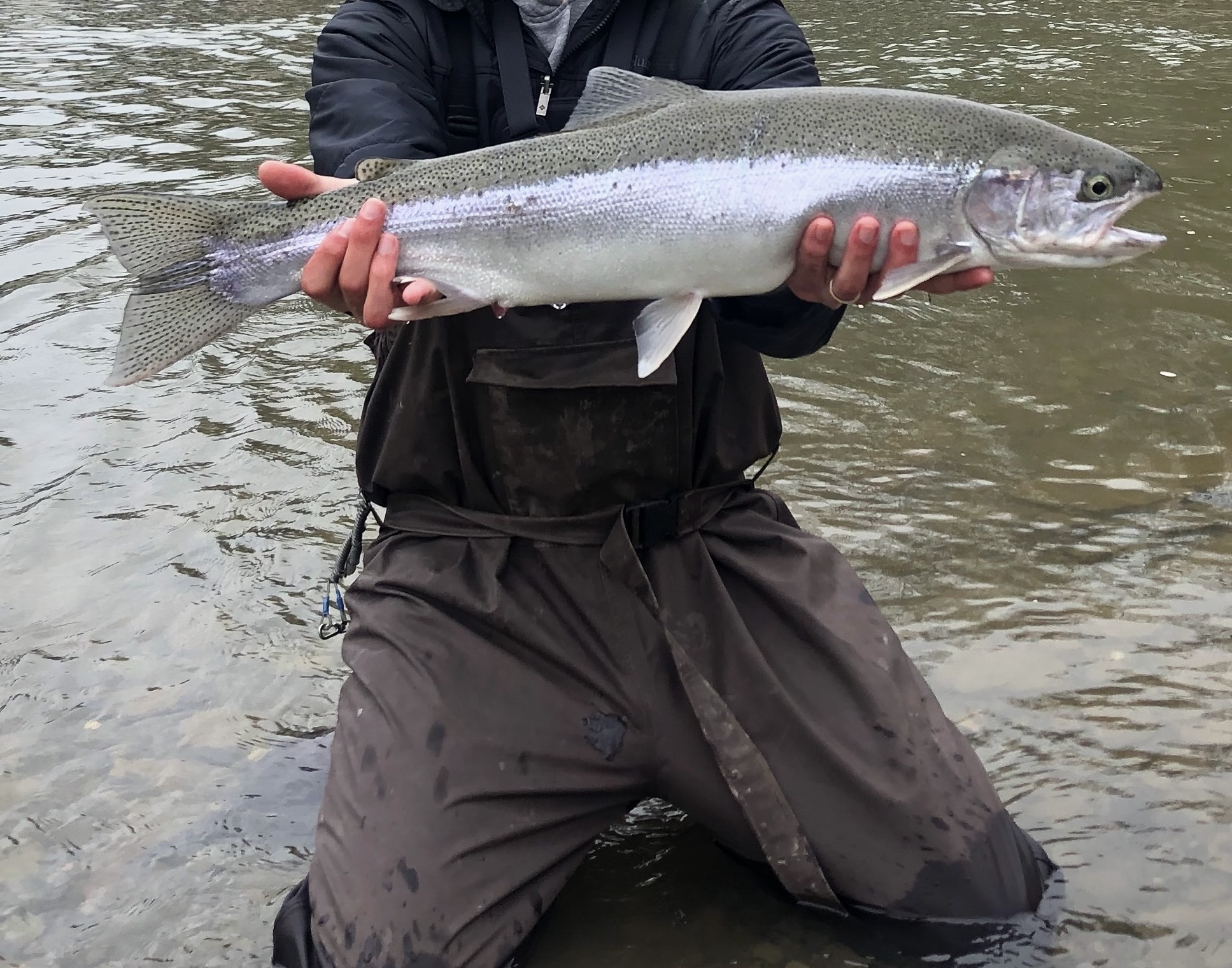 Mad River Outfitter's steelhead tips