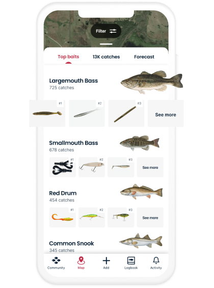 Workup Fishing - Taking Only What You Need - The Fishing Website