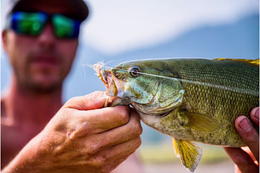 How often should you change your fishing line?