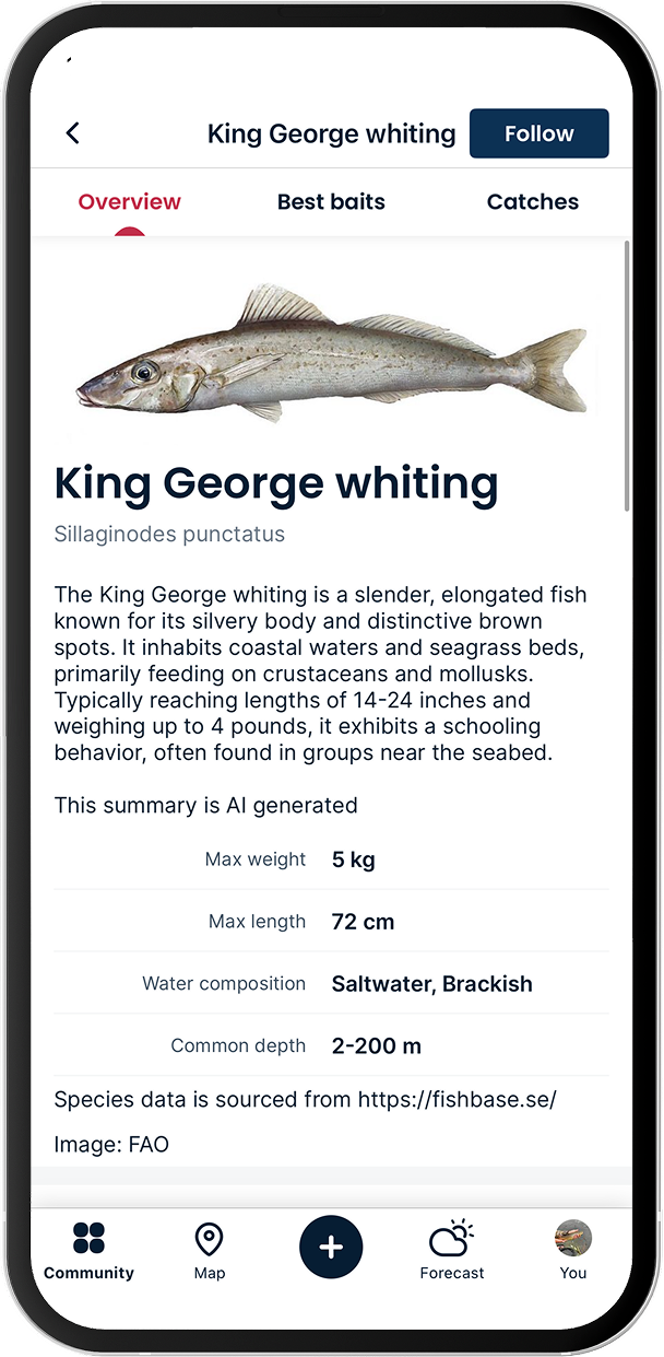 King George whiting