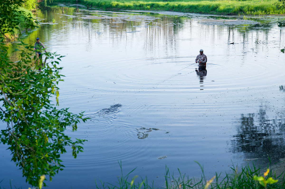 Best Fishbrain functions for Spring