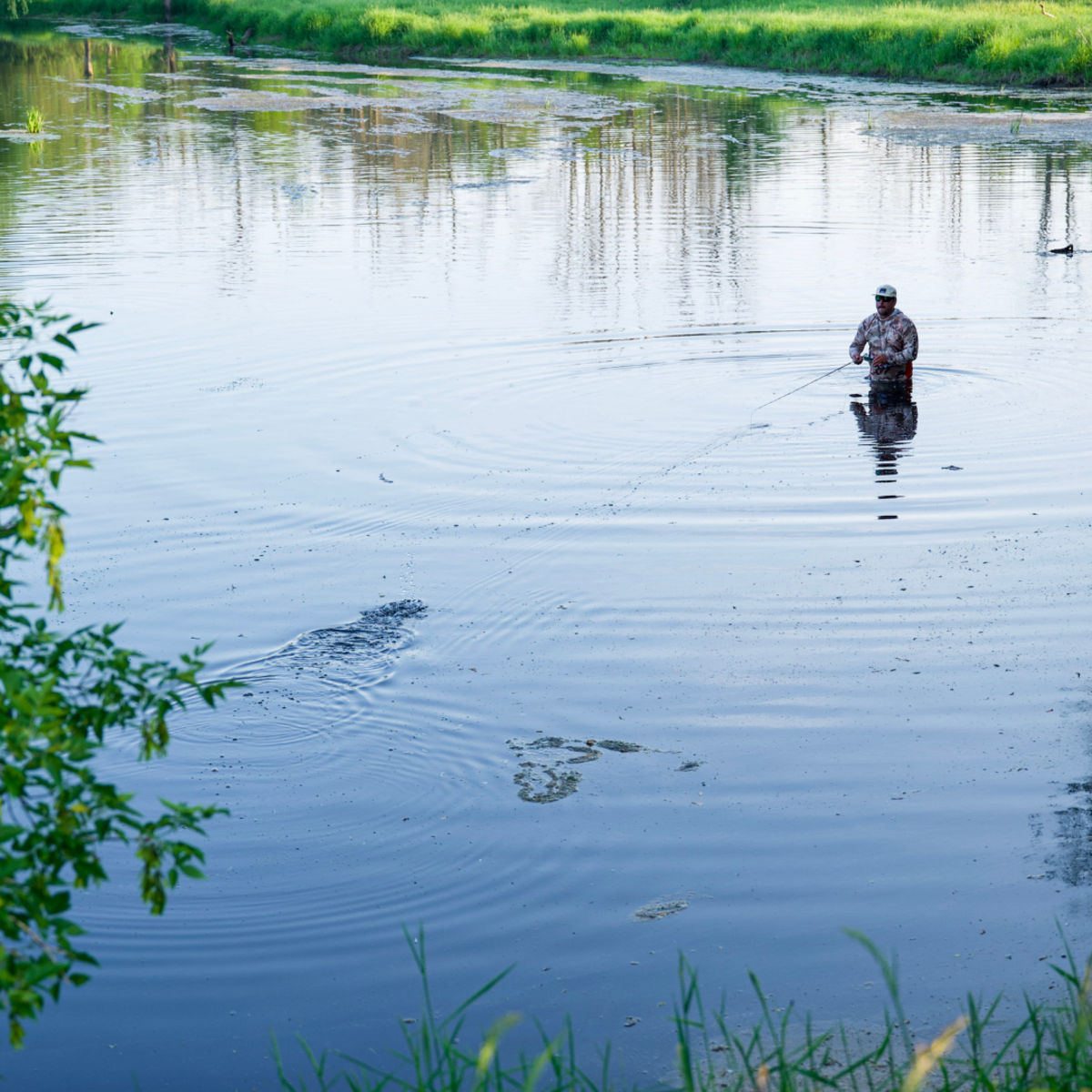 Best Fishbrain functions for Spring