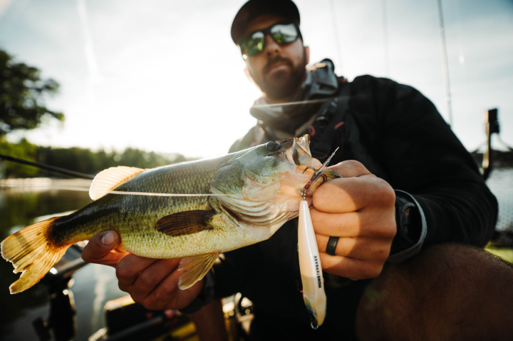 Jerkbait Fishing for Bass  Finding the Optimal Cadence – MONSTERBASS