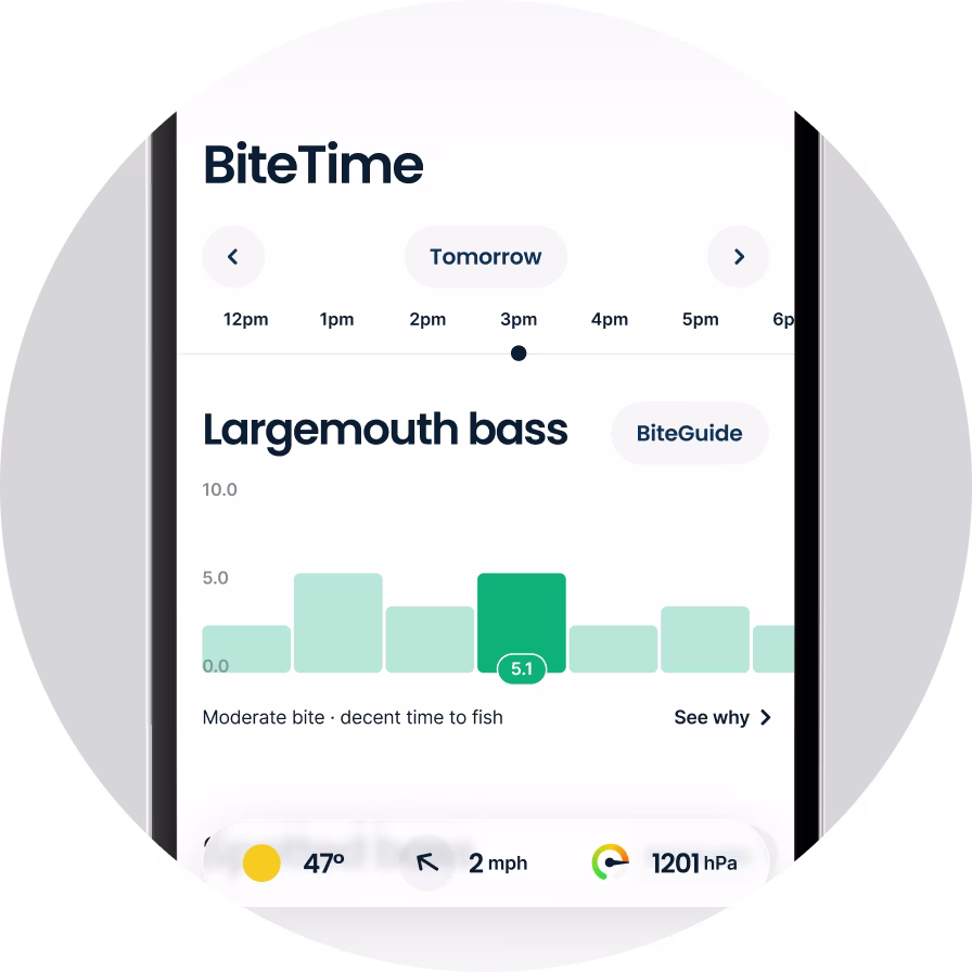 Fishbrain BiteGuide
