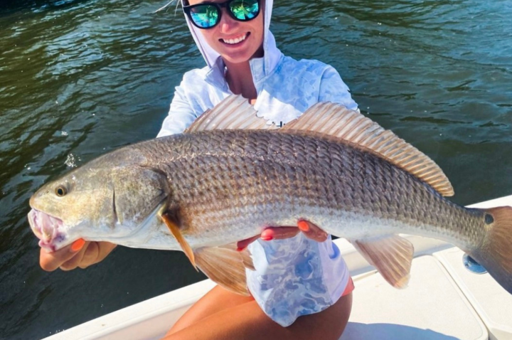 Species profile: Getting to know red drum