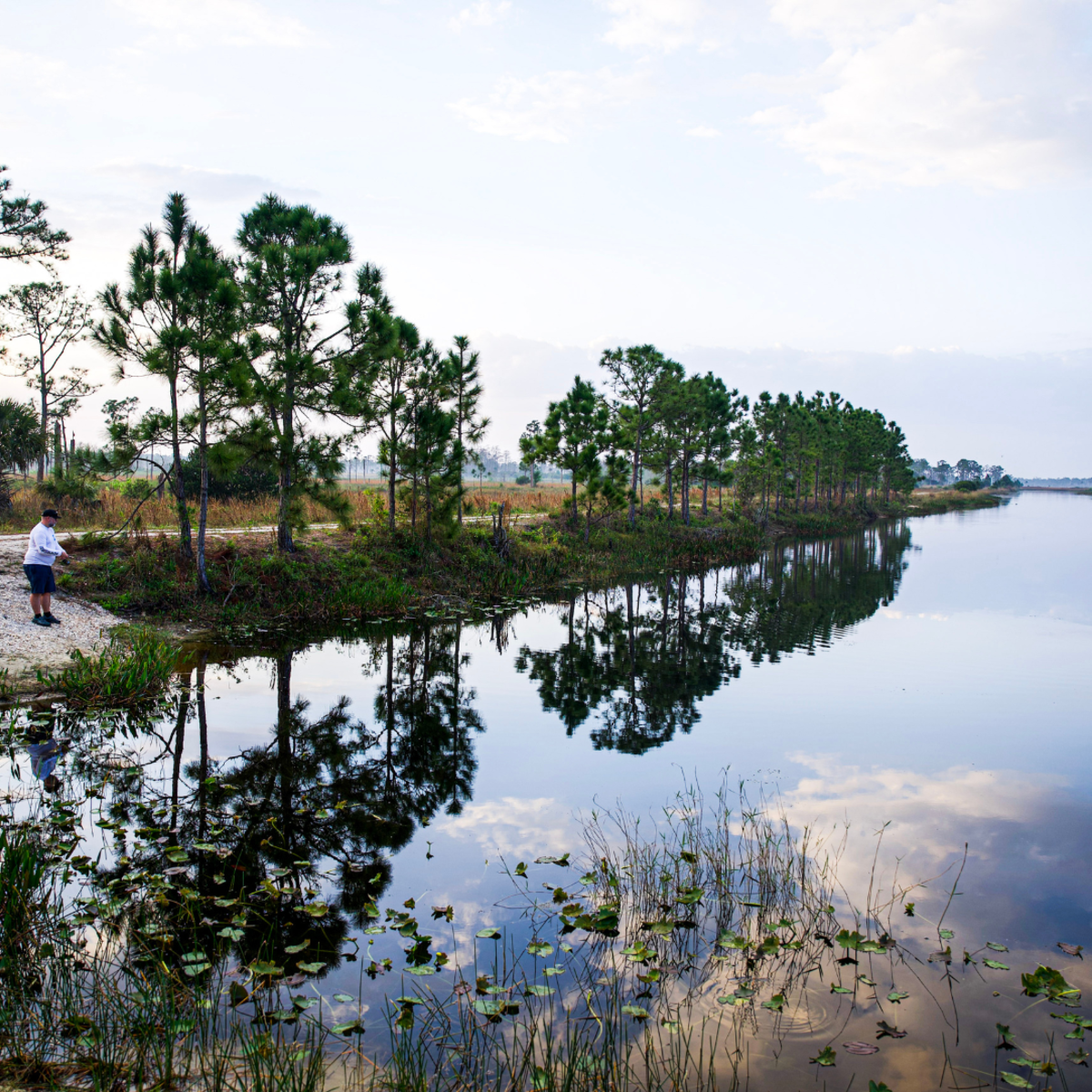 Florida Invasive Fish Map Guide to Florida Invasive Fishing